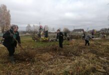 Тонежский сельсовет: единство во имя чистоты и порядка