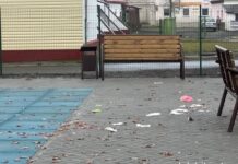 Сохраним чистоту вместе: призыв к родителям и детям