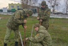 Живая память: на территории Дзержинского сельсовета высадили деревья к знаменательной дате