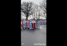 Парад дедов Морозов в Лельчицах