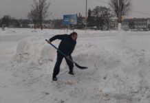 Участие в общественно-полезном труде