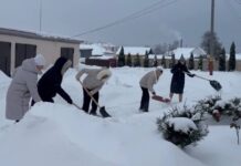 Намёк понят- взялись за лопаты