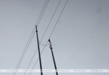 В Гомельской области планируется построить 985 км электросетей за пятилетку