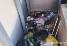 Свалка на Полесской: призыв к действиям и ответственности