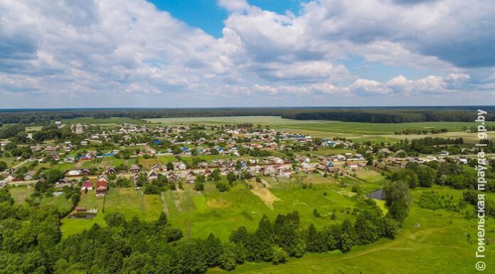 Часть населенных пунктов Гомельской области в этом году могут вывести из категории загрязненных