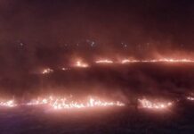 С начала года в области зафиксировано 88 возгораний в природных экосистемах