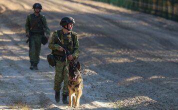 Белорусам упростили посещение погранзоны: какие новшества появились в законодательстве о государственной границе
