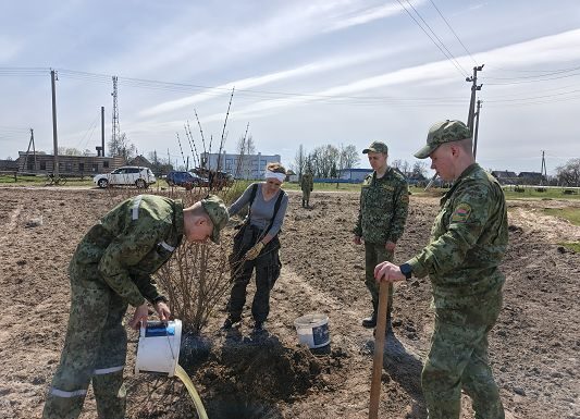 Подготовка к «Дожинкам-2026» в агрогородке Боровое