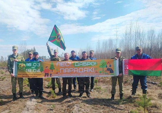 Приумножая лесные богатства