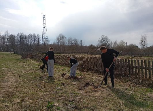 Боровое становится зеленее