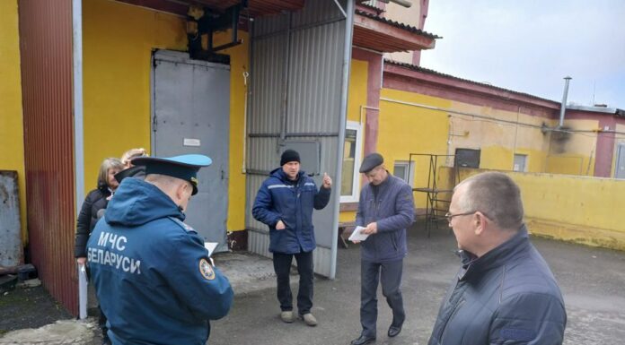 Безопасность на первом месте: Результаты проверки мобильной группы в Лельчицах