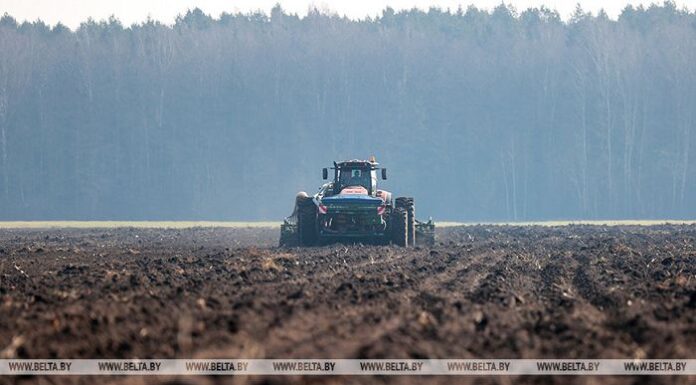 Минсельхозпрод: основная фаза посевной кампании в Беларуси успешно завершается