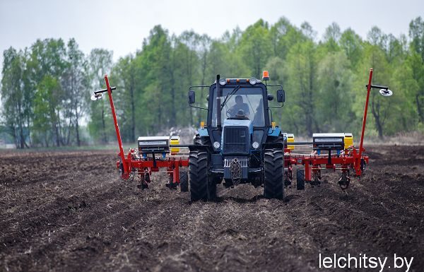 «Царица полей» в надежных руках