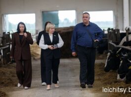 Внимание к развитию животноводства и условиям труда