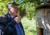 «Повесить ульев за двести и тысячу раз на дерево взлезти»