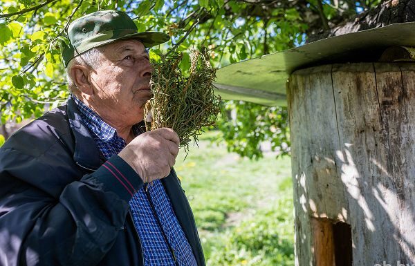 «Повесить ульев за двести и тысячу раз на дерево взлезти»