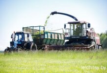 Зеленая масса — прочная база кормозаготовки