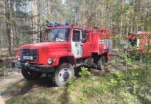 Оперативная ликвидация лесного пожара