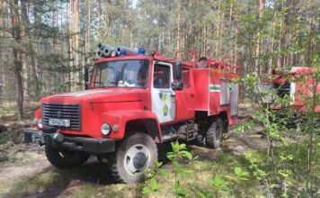 Оперативная ликвидация лесного пожара