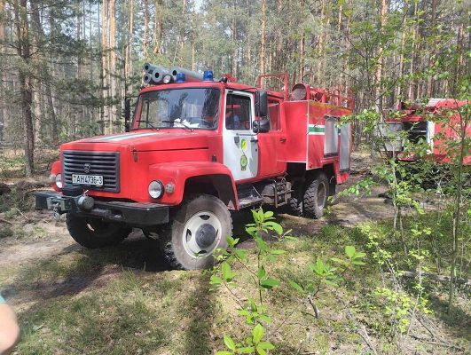 Оперативная ликвидация лесного пожара