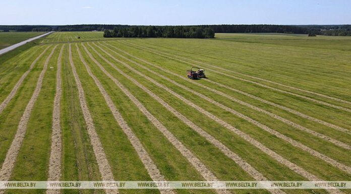 Первый укос трав проведен в Беларуси на 85% запланированных площадей