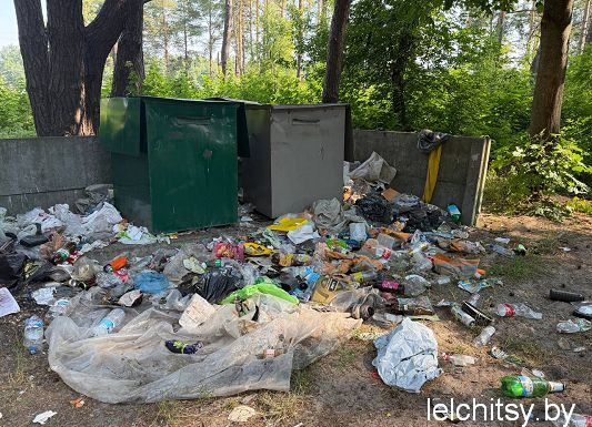 Чистота в зоне отдыха: призыв к лельчанам сохранить природу