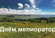 Светлана Сенько: День мелиоратора посвящен людям, чья профессиональная деятельность связана с возрождением и улучшением земель