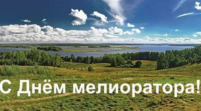 Светлана Сенько: День мелиоратора посвящен людям, чья профессиональная деятельность связана с возрождением и улучшением земель