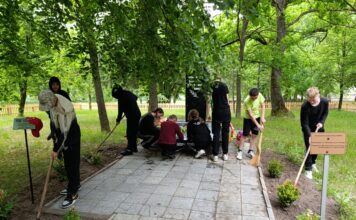 Время созидать: в районе прошла трудовая акция «За дело»