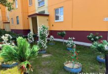 Клумбы радости: как жильцы домов улицы Островского в Ударном преобразили свою территорию