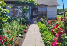 Улица Новая — новая эстетика агрогородка Ударное: как жители создают красоту своими руками