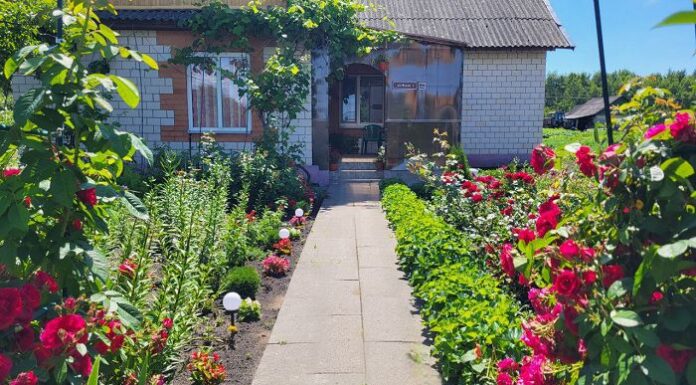 Улица Новая — новая эстетика агрогородка Ударное: как жители создают красоту своими руками