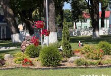 Красота родного края