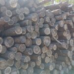 Комитетом госконтроля Гомельской области проверил РУП «Гомельавтодор»