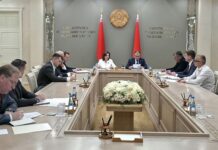 Диверсификацию экспорта продукции белорусской деревообработки в страны Африки обсудили в Совете Республики