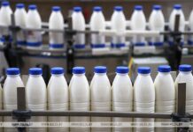 Новую программу поддержки региональных бизнес-проектов в мясо-молочной отрасли запустили в Беларуси