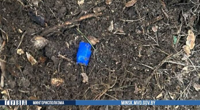 Изъято более 100 грамм мефедрона. В Минске с поличным задержали закладчика
