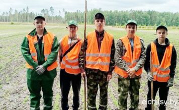 Трудовой десант: молодежь Милошевичского лесхоза выбирает полезные каникулы
