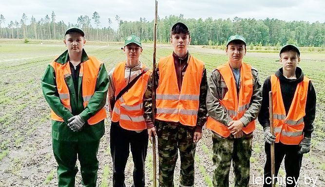 Трудовой десант: молодежь Милошевичского лесхоза выбирает полезные каникулы