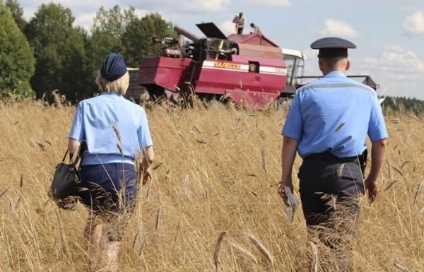 Закон на страже урожая