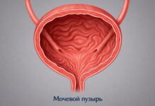 Гиперактивный мочевой пузырь: как сохранить качество жизни?