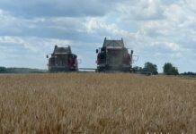 Золотая нива — в надежных руках