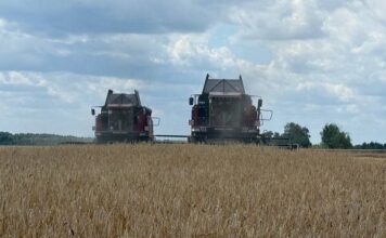 Золотая нива — в надежных руках