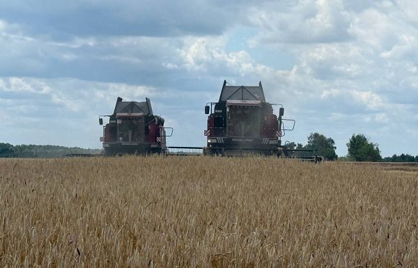 Золотая нива — в надежных руках