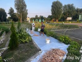 Инициатива на благо родного края