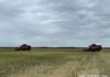 «Новая Нива» берет курс на высокий результат