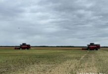«Новая Нива» берет курс на высокий результат