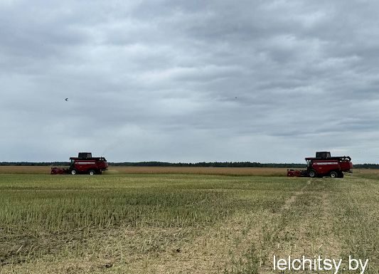 «Новая Нива» берет курс на высокий результат