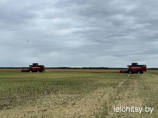 «Новая Нива» берет курс на высокий результат