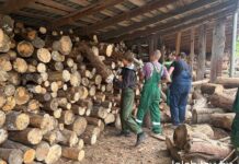 Трудовое лето: в ОАО «Лельчицкая ПМК-103» начал работу студенческий отряд